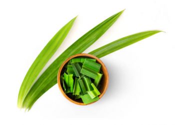 Alami dan Minim Efek Samping, Klaim Disini Manfaat Istimewa Daun Pandan untuk Kecantikan