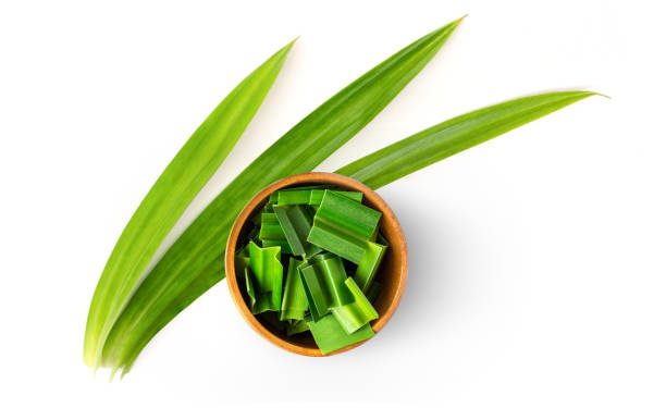 Alami dan Minim Efek Samping, Klaim Disini Manfaat Istimewa Daun Pandan untuk Kecantikan