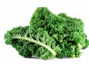 Perawatan Alami Kecantikan Kulit dengan Menggunakan Sayur Kale, Cek Disini Ragam Manfaatnya!