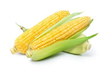 Intip Disini Manfaat Konsumsi Jagung Bagi Kesehatan, Solusi untuk Program Diet