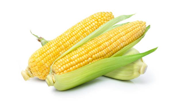 Intip Disini Manfaat Konsumsi Jagung Bagi Kesehatan, Solusi untuk Program Diet