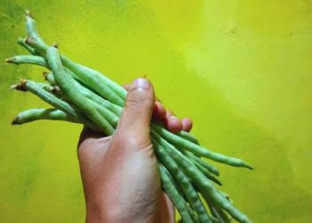 Ada Segudang Tawaran Manfaat Istimewa Kacang Panjang untuk Kesehatan Wanita, Paling Utama Ampuh Redakan Nyeri Haid
