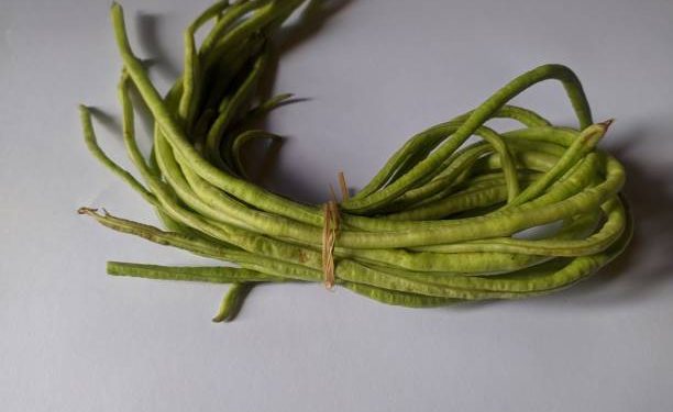 Bantu Jaga Kesehatan Kulit hingga Cegah Diabetes pada Bayi, Cek Disini Manfaat MPASI Kacang Panjang untuk Bayi!