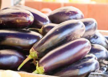 Kaya Akan Kandungan Nutrisi, Ini 5 Tawaran Manfaat Istimewa Terong Ungu untuk Kesehatan, CEK!