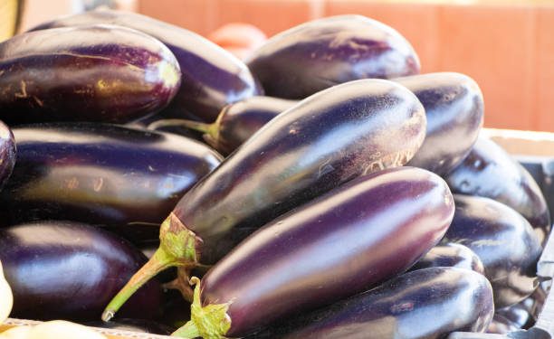 Kaya Akan Kandungan Nutrisi, Ini 5 Tawaran Manfaat Istimewa Terong Ungu untuk Kesehatan, CEK!