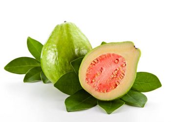 Sebabkan Tekanan Darah Rendah hingga Alergi, Kenali Efek Samping Konsumsi Daun Jambu Biji Berlebihan!