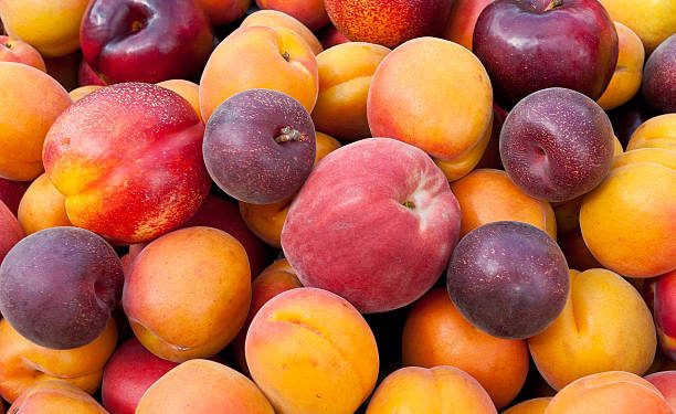 Ada 6 Jenis Buah Plum dengan Karakteristiknya Masing-masing, Yang Mana Favoritmu?