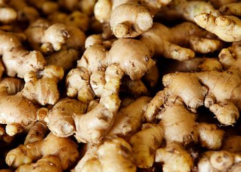 Cek Disini! Sederet Efek Samping dari Mengonsumsi Jahe Emprit Berlebihan, Bikin Alergi hingga Timbul Masalah Pencernaan