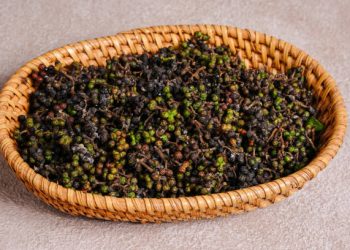 Bukan Hanya Daunnya! Ternyata Ini Segudang Manfaat Rempah Masakan Andaliman untuk Kesehatan