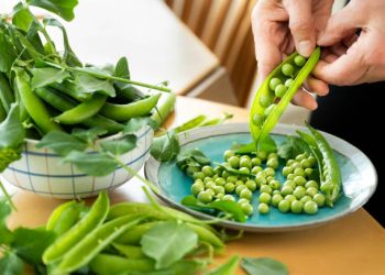 Kaya Akan Kandungan Nutrisi! Ini Segudang Manfaat Kacang Hijau untuk Kesehatan, CEK