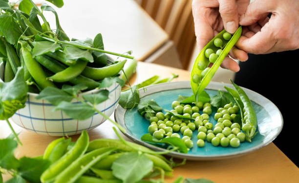 Kaya Akan Kandungan Nutrisi! Ini Segudang Manfaat Kacang Hijau untuk Kesehatan, CEK