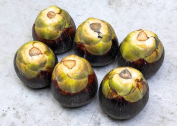 Wajib Tahu! Ini Sederet Efek Samping Konsumsi Buah Lontar Secara Berlebihan, CEK!