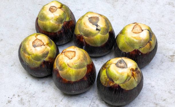 Wajib Tahu! Ini Sederet Efek Samping Konsumsi Buah Lontar Secara Berlebihan, CEK!