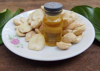 Klaim Manfaat Minyak Kemiri untuk Kesehatan Rambut, Bisa Atasi Rambut Rontok hingga Hilangkan Ketombe