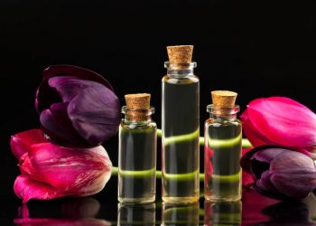 Raih Kecantikan Kulit Secara Alami dengan Gunakan Ekstrak Minyak Bunga Tulip, Ini Manfaatnya!