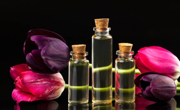 Raih Kecantikan Kulit Secara Alami dengan Gunakan Ekstrak Minyak Bunga Tulip, Ini Manfaatnya!