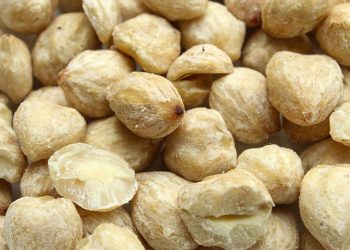 Konsumsi Kemiri Berlebihan dapat Memicu Keracunan, Cek Efek Samping Lainnya Disini!