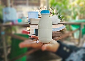 Wajib Diketahui! Ini Segudang Manfaat Tersembunyi Susu Kambing untuk Kesehatan, Terutama Baik Bagi Pencernaan