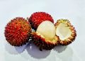 Tak Hanya Buahnya! Cek Ragam Manfaat Kulit Rambutan untuk Kesehatan, Salah Satunya Ampuh Atasi Diare