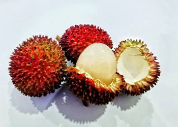 Tak Hanya Buahnya! Cek Ragam Manfaat Kulit Rambutan untuk Kesehatan, Salah Satunya Ampuh Atasi Diare