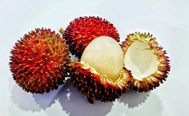 Tak Hanya Buahnya! Cek Ragam Manfaat Kulit Rambutan untuk Kesehatan, Salah Satunya Ampuh Atasi Diare