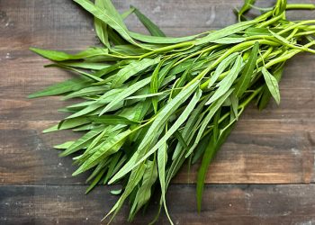 Konsumsi Tanpa Berlebihan Bikin Tubuh Jadi Sehat, Kenali Manfaat Sayur Kangkung untuk Kesehatan
