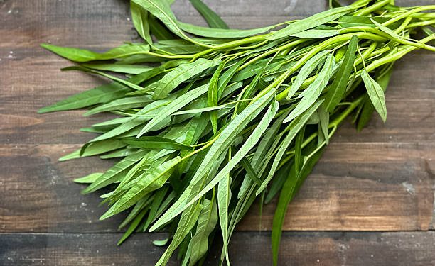 Konsumsi Tanpa Berlebihan Bikin Tubuh Jadi Sehat, Kenali Manfaat Sayur Kangkung untuk Kesehatan