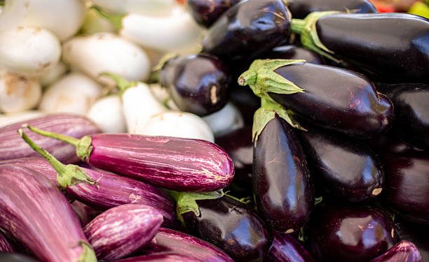 Ada Terong Ungu hingga Terong Putih, Ini Ragam Jenis Terong yang Ada di Indonesia, Mana Favoritmu?