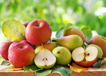 Yuk, Rawat Kecantikan Kulitmu dengan Gunakan Buah Pir, Ini Manfaat Tersembunyinya!