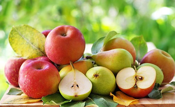 Yuk, Rawat Kecantikan Kulitmu dengan Gunakan Buah Pir, Ini Manfaat Tersembunyinya!