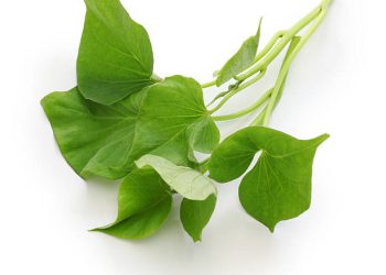 Klaim 6 Manfaat Utama Daun Ubi Jalar untuk Ibu Hamil dan Janin, Bikin Imun Tubuh Kian Meningkat