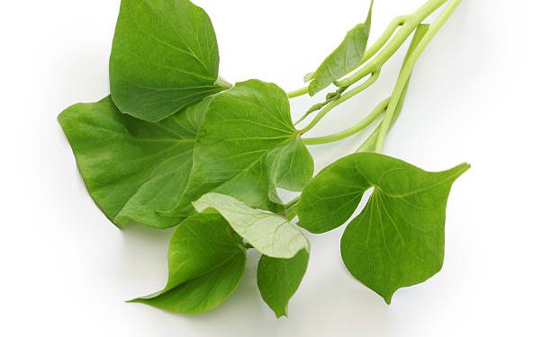 Klaim 6 Manfaat Utama Daun Ubi Jalar untuk Ibu Hamil dan Janin, Bikin Imun Tubuh Kian Meningkat