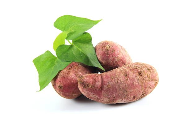 Berikut Ini Beberapa Efek Samping Konsumsi Daun Ubi Jalar Berlebihan, Salah Satunya Gangguan Pencernaan