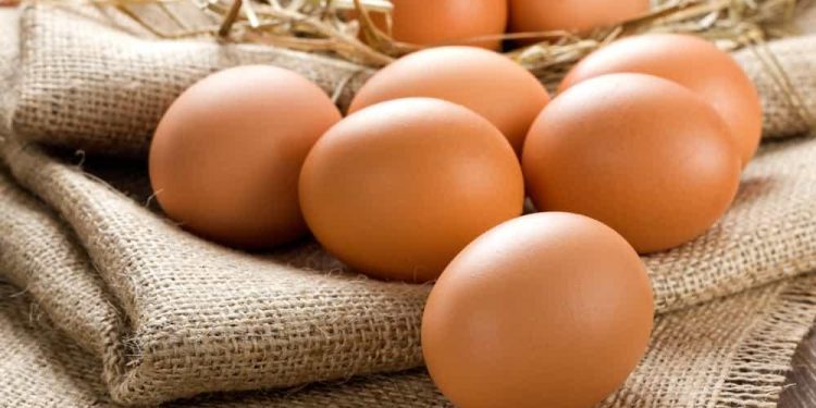 Benarkah Banyak Makan Telur Bisa Bikin Bisulan? Cek Fakta dan Mitosnya di Sini!