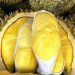 Manfaat Konsumsi Buah Durian Sehari-hari, Dapat Membantu Melancarkan Pencernaan, Cek di Sini!