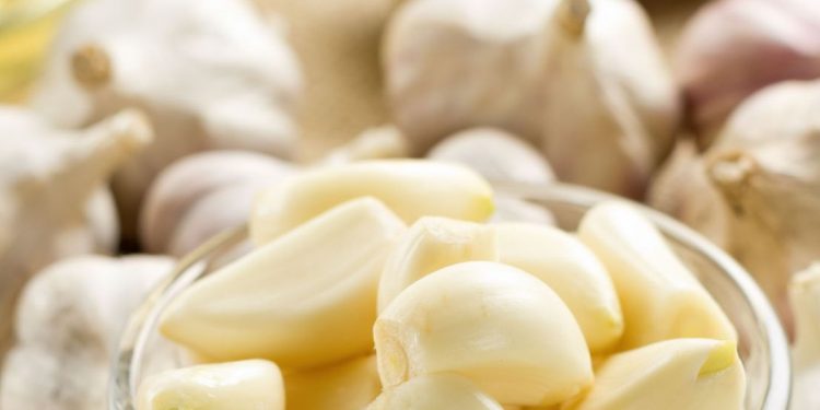 Bisa Mencegah Penyakit Jantung, Cek Manfaat Bawang Putih di Sini! Cukup Konsumsi Rutin