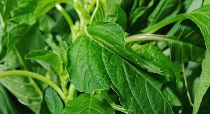 Jenis Sayuran Ini Baik untuk Perawatan Kulit, Coba Konsumsi Bayam, Cek di Sini