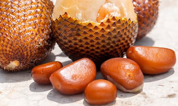 Cek di Sini! Biji Salak Ampuh Mencegah Hipertensi, Ini Manfaatnya