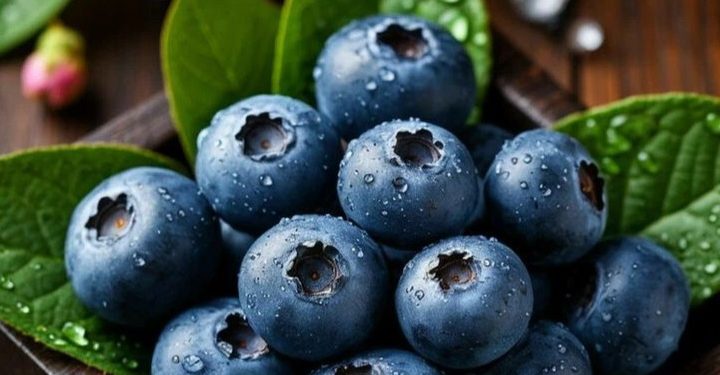 Cek Manfaat Lain Buah Blueberry di Sini! Dapat Menurunkan Kolesterol
