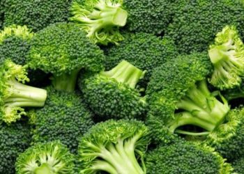 Cek Daftar Makanan yang Baik untuk Tulang Ini! Punya Kandungan Tinggi Kalsium, Cukup Rutinkan