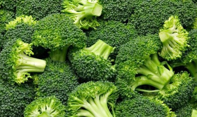 Cek Daftar Makanan yang Baik untuk Tulang Ini! Punya Kandungan Tinggi Kalsium, Cukup Rutinkan