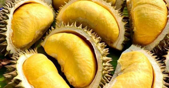 Cek Fakta dan Mitos Menarik Buah Durian Ini, Tidak Hanya Baik untuk kesehatan