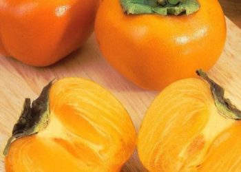 Manfaat Lain Buah Kesemek untuk Tubuh! Dipercaya Dapat Meningkatkan Kesehatan Otak