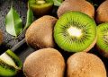 Efek Samping Buah Kiwi! Cek di Sini, Bisa Sebabkan Gangguan Pembekuan Darah