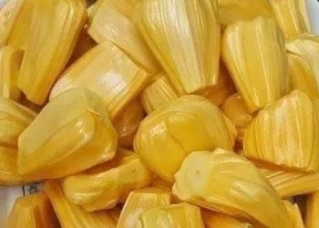 Manfaat Lain Buah Nangka bagi Tubuh! Mampu Menangkal Radikal Bebas