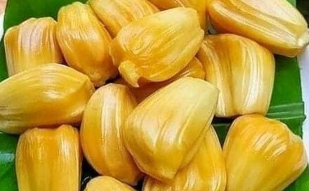 Ini Manfaat Konsumsi Buah Nangka bagi Ibu Hamil, Salah Satunya Dapat Memberikan Energi