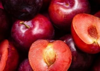 Cek Manfaat Konsumsi Buah Plum di Sini! Ampuh Meningkatkan Kekebalan Tubuh