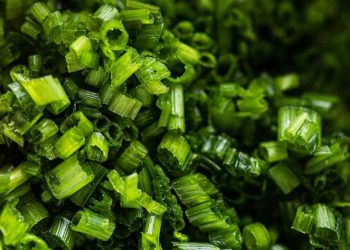 Cek di Sini! Efek Samping Makan Daun Bawang Berlebihan, Bisa Terkena Alergi