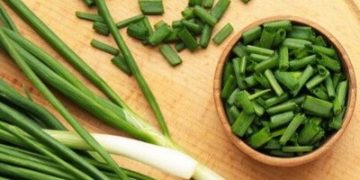 Dapat Turunkan Kadar Kolesterol, Ini Manfaat Daun Bawang yang Perlu Diketahui