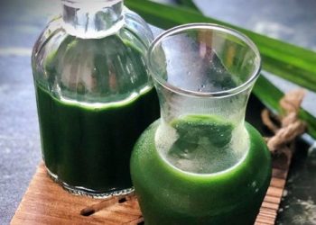 Air Daun Pandan Punya Manfaat Dapat Meredakan Demam, Cek Manfaat Lainnya di Sini